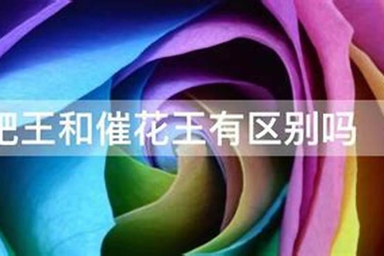 国产复合肥与进口复合肥比较有明显区别吗