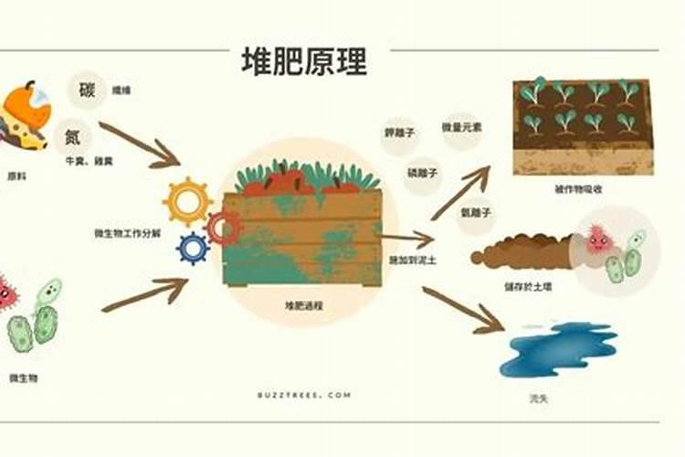 琴叶榕用什么肥料最好