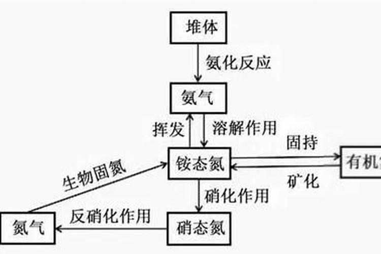 氮肥对植物的作用有哪些？教你自制氮肥的制作方法