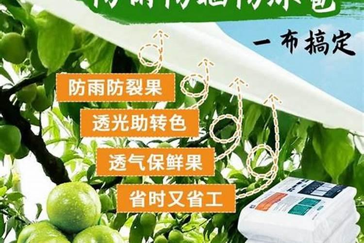 叶霸1号和叶霸2号区别