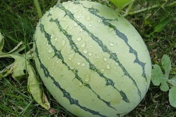食用石粉的用途