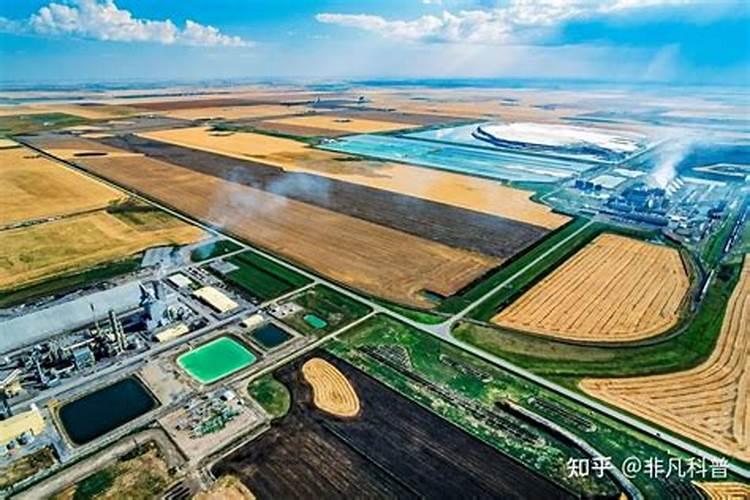 树苗施什么肥长得快