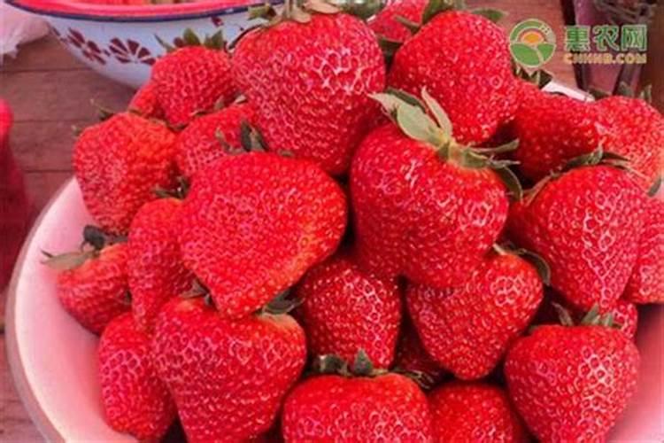 煮熟的黄豆怎么发酵做肥料