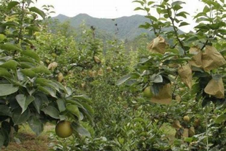 山东亿丰源生物科技股份有限公司怎么样