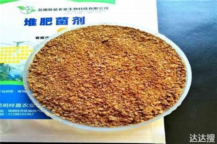 有机肥含量最高的肥料是什么？