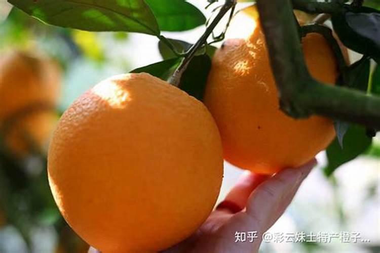 小麦灌浆期喷磷酸二氢钾几天见效