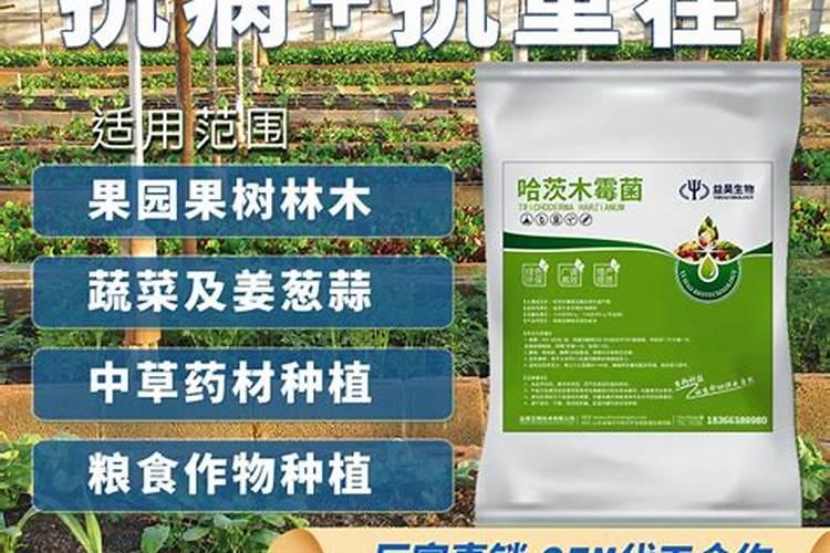 磷肥注意事项