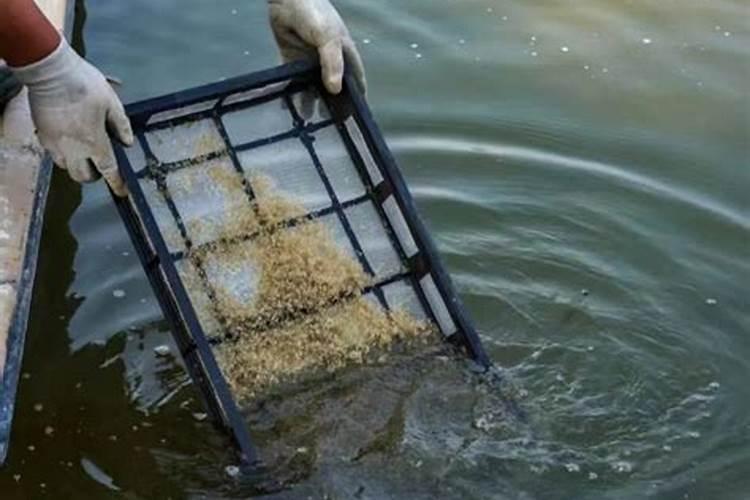 氮肥钾肥溶于水吗？
