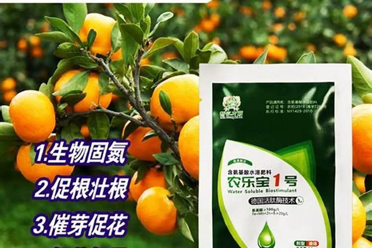 果树全年都使用水溶肥可以吗