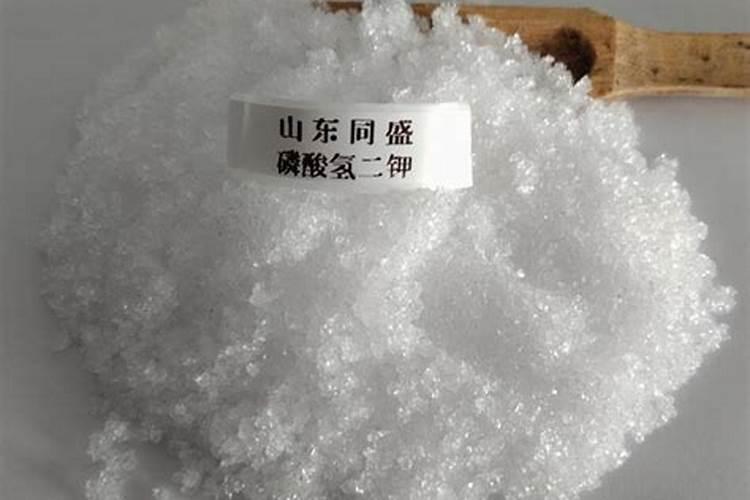 多肉植物浇水需要添加什么