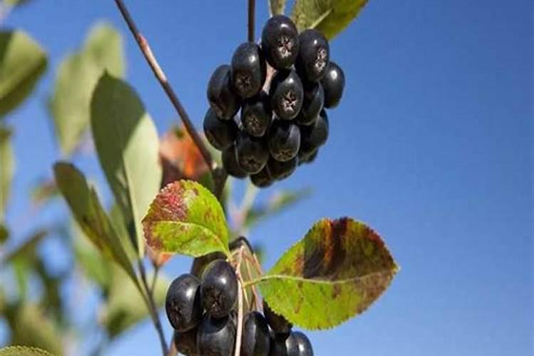 河北益微生物技术有限公司企业概况