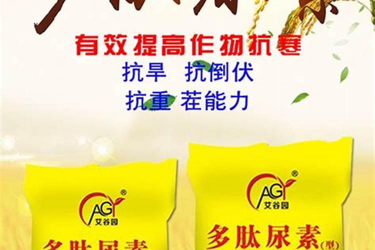 茄子常见病害与防治的方法有哪些