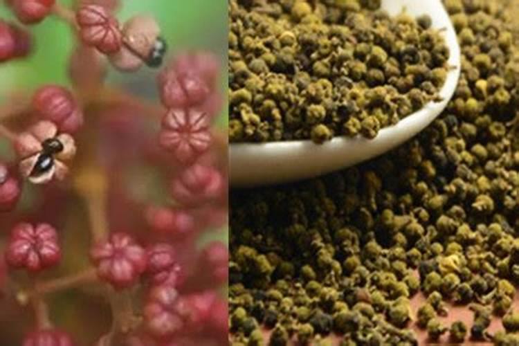 花生发芽留几棵？