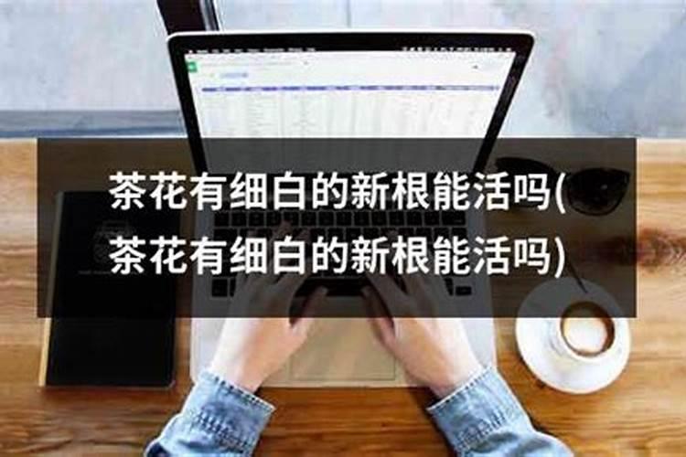 矿源黄腐酸钾怎么理解？