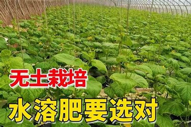 白云石用途白云石