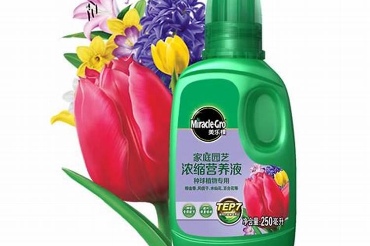 豆角什么时候浇水最好
