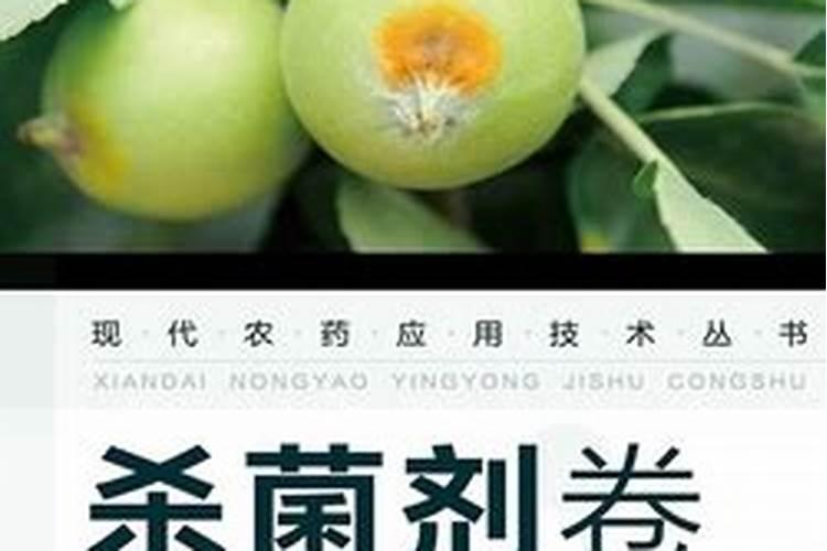 叶膜是什么意思？