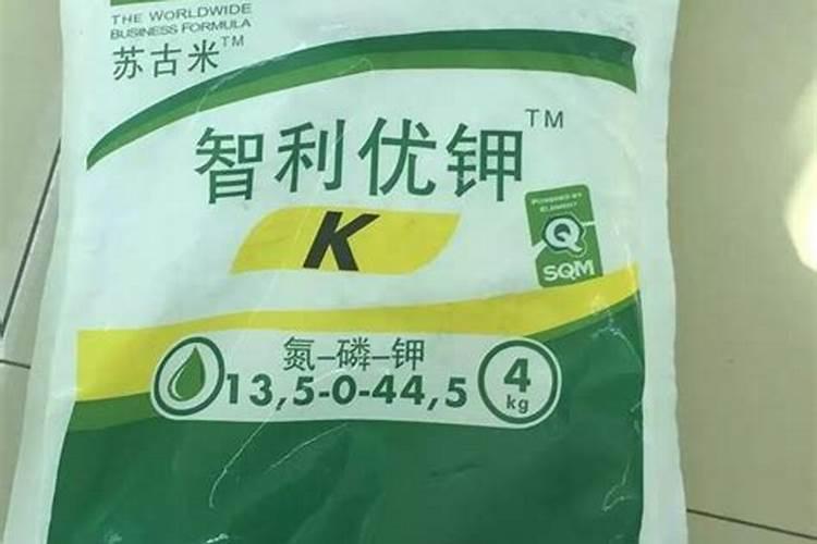甘蓝春季种植没有芯什么原因？