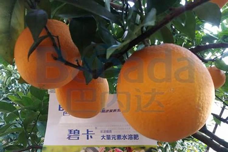 水溶肥残渣和什么有关系