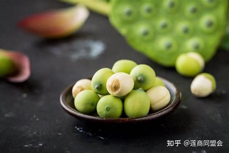 子莲田怎么施肥,子莲田施肥技巧