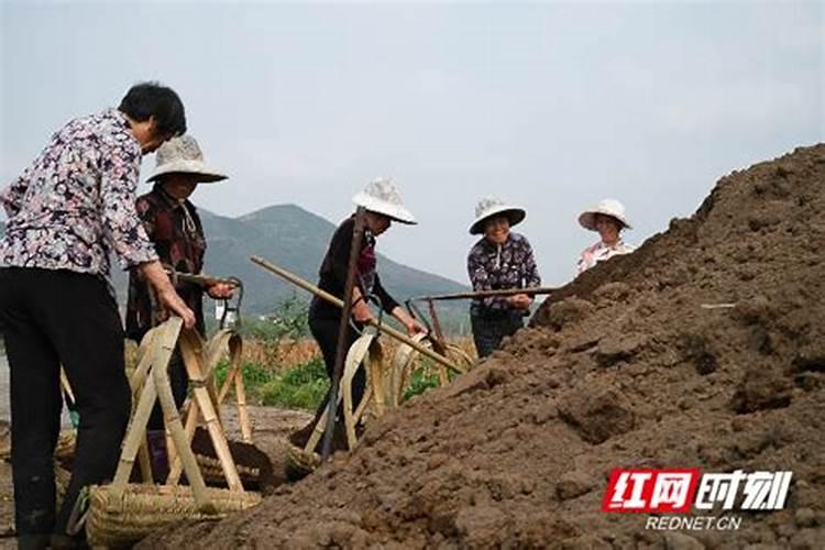 多肽铜农药能防治什么病
