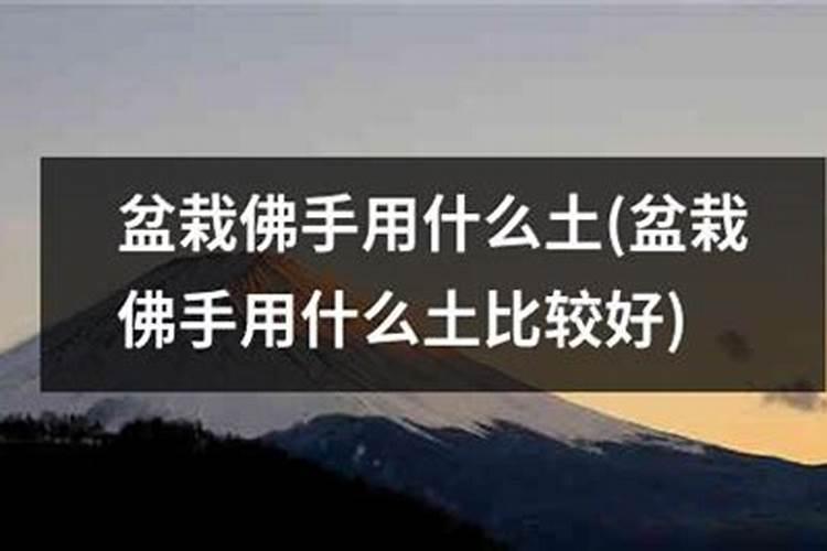 木美土里是肥料还是有菌肥
