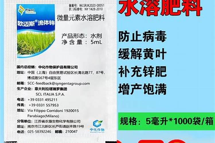 玉米叶子变白,什么原因？