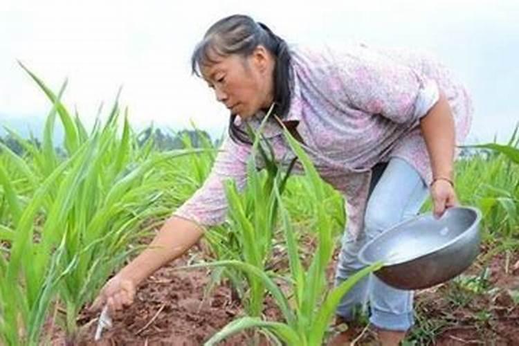 小区外荒地有没有被允许用来种菜的情况