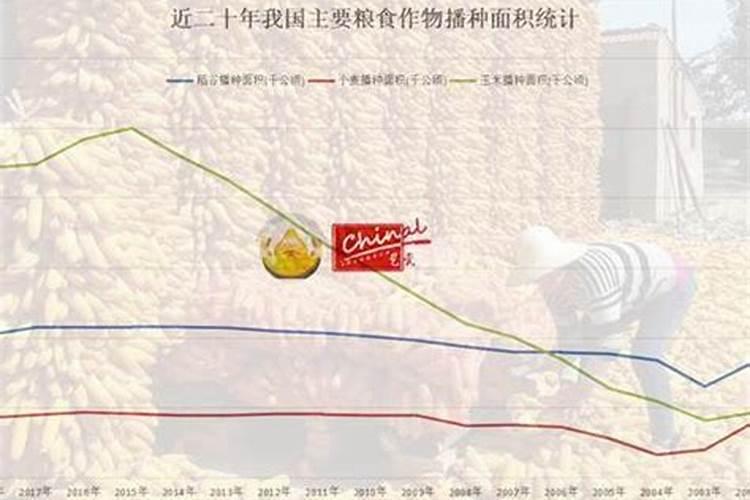 种植红薯产量低,应该如何施肥促进高产？