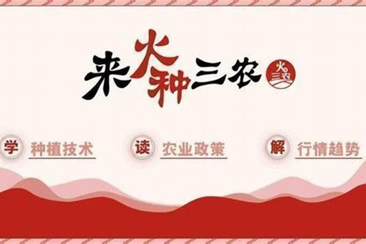 荔枝喜光吗