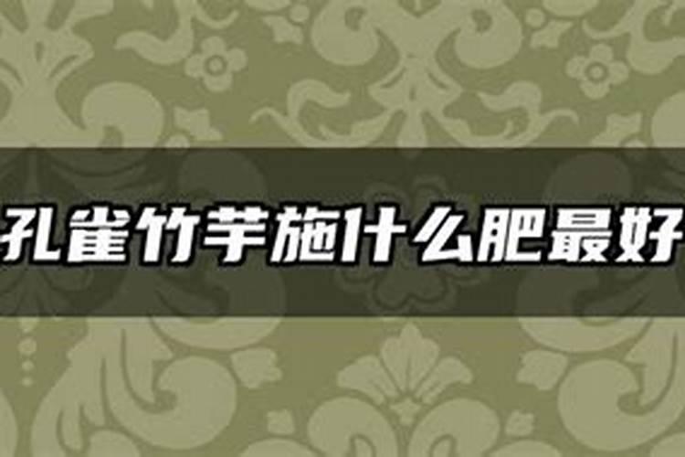 新扦插的月季花长小芽了,要抹掉吗