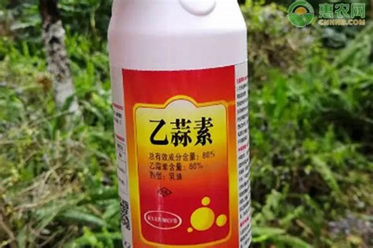 水芹菜是种在水里还是土里 水芹菜种植方法