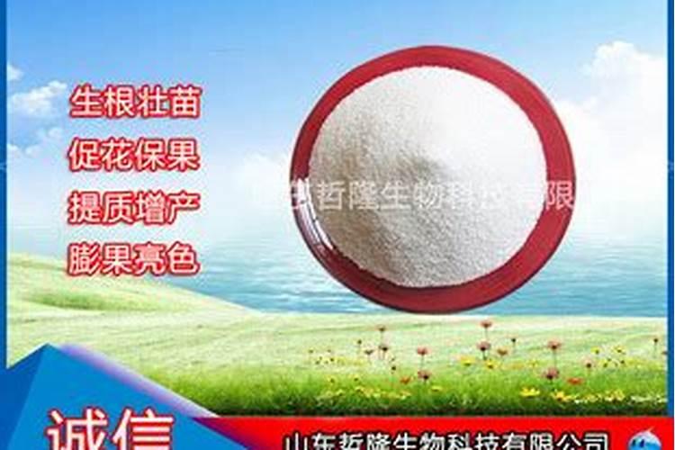 辣椒灌根可以用矿源黄腐酸钾吗？辣椒种植用矿源黄腐酸钾有什么用