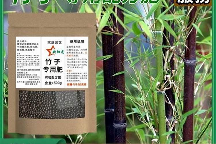 竹子叶子发黄干枯怎样救