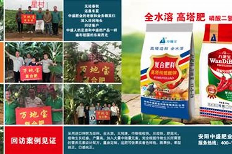 青菜加碱为什么会变绿
