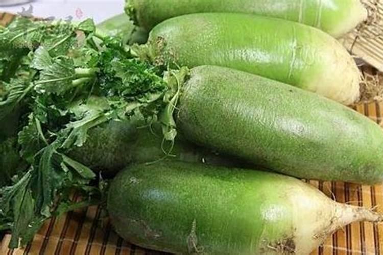 散尾葵用什么肥料最好