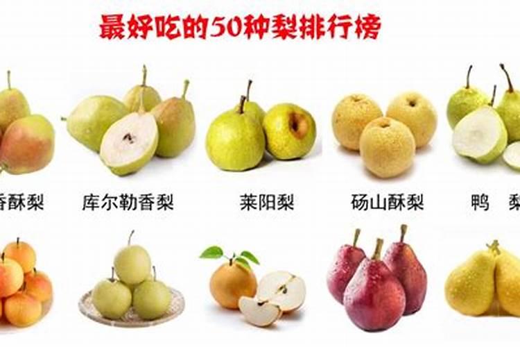 栀子花怎么养才不会死