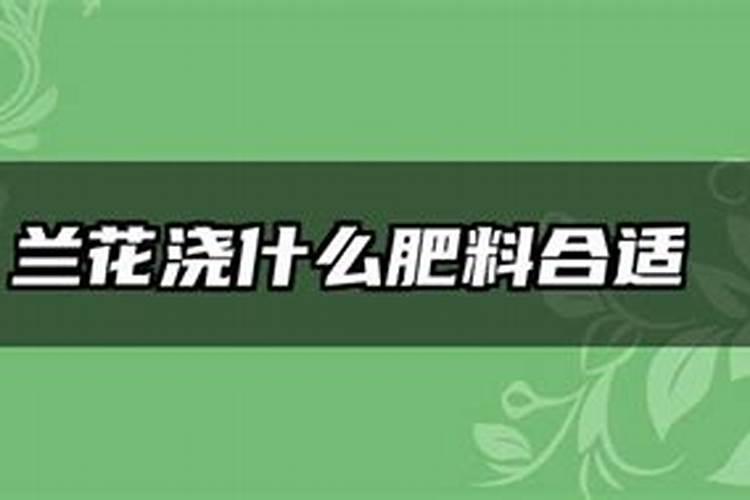 多肉下太多肥料(多肉肥料加多了怎么办)