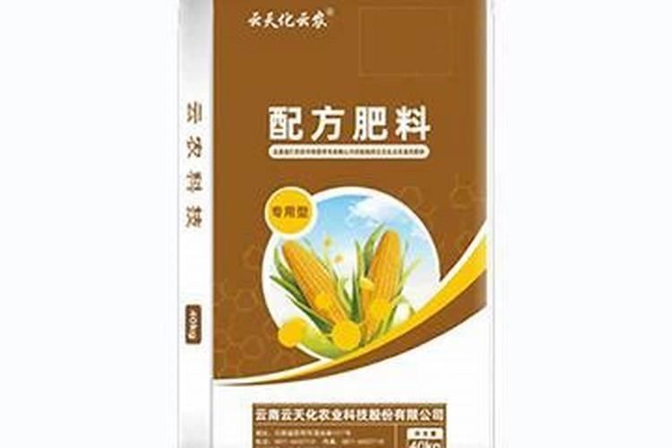 盆栽草莓怎么施肥