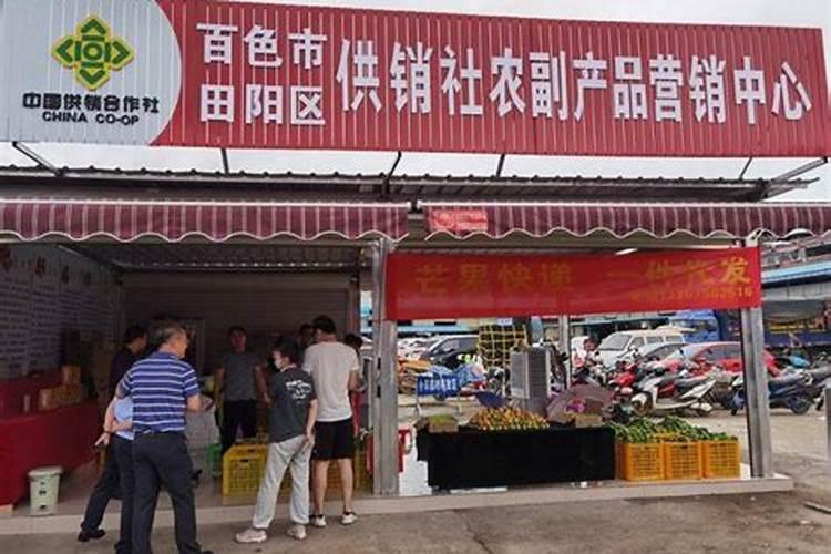玉米使用什么叶面肥好