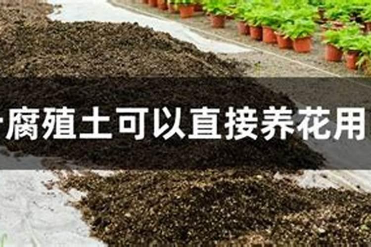 草莓开花了可以施什么肥