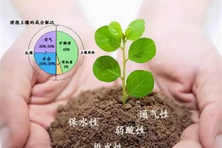 氮磷钾三种化肥作用和缺乏症状