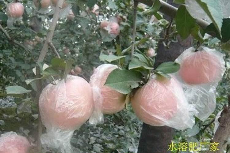 江流宛转绕芳甸,月照花林皆似霰.怎么读