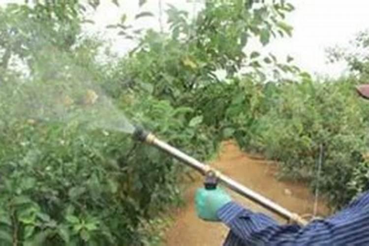 哪些肥料在茄子无公害生产中禁用？
