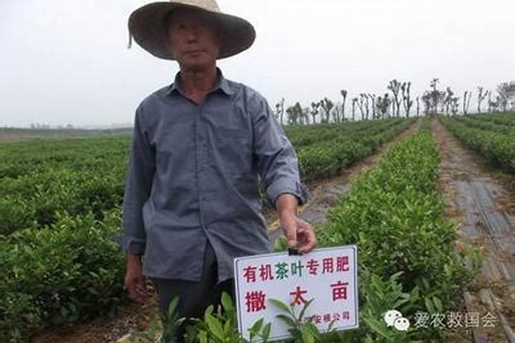 10斤大量元素水溶肥能滴灌多大面积玉米？