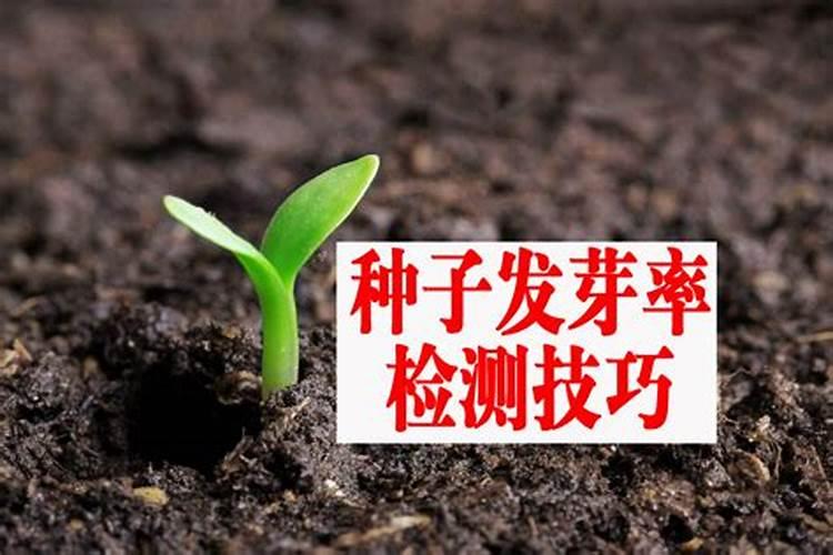 种子发芽多久可以施肥 种子发芽后多久需要施肥