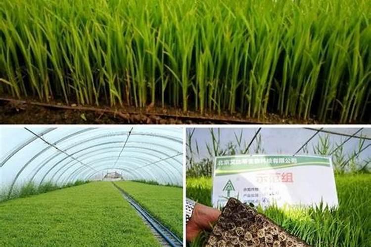天脊集团获得荣誉