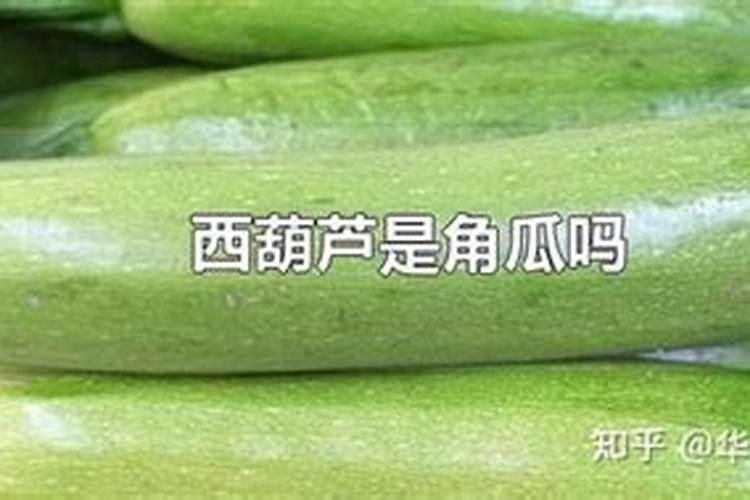 西葫芦用高钾肥还是平衡肥