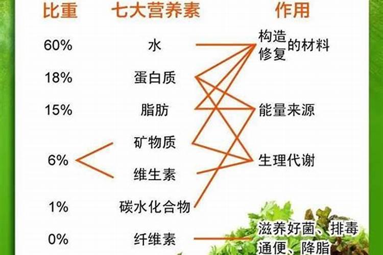 灰苏子常规除草剂是啥？