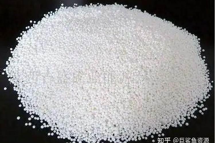 新型牧草有哪些品种